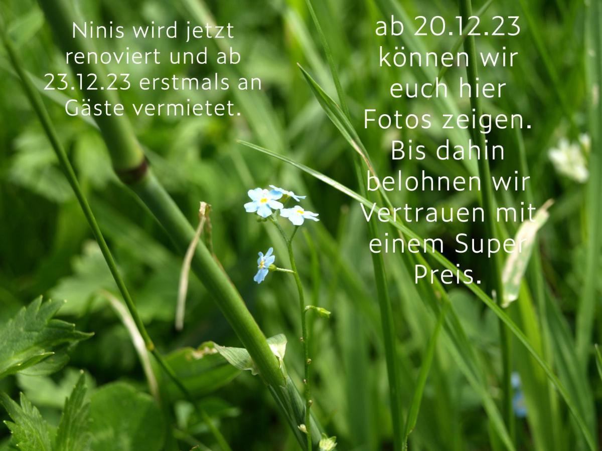 Ninis - Ferienhaus Im Bregenzerwald Ег Екстериор снимка